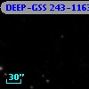 DEEP-GSS 243-1163