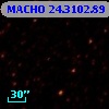 MACHO  24.3102.89
