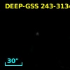 DEEP-GSS 243-3134