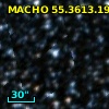 MACHO  55.3613.19