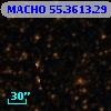 MACHO  55.3613.29