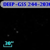 DEEP-GSS 244-2036