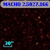 MACHO   2.5027.166