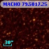 MACHO  79.5017.25