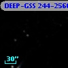 DEEP-GSS 244-2560