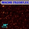 MACHO  79.5507.332
