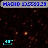 MACHO  13.5593.29