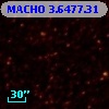 MACHO   3.6477.31