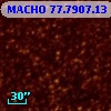 MACHO  77.7907.13