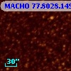 MACHO  77.8028.149