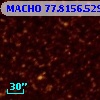 MACHO  77.8156.529