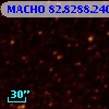 MACHO  82.8288.240