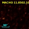 MACHO  11.8502.105