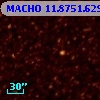 MACHO  11.8751.629
