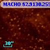 MACHO  82.9130.255