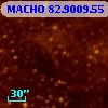 MACHO  82.9009.55