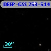 DEEP-GSS 253-514