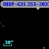 DEEP-GSS 253-2037