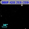 DEEP-GSS 253-2334