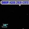 DEEP-GSS 253-2721
