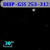 DEEP-GSS 253-3121
