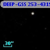 DEEP-GSS 253-4319