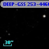 DEEP-GSS 253-4466