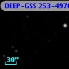 DEEP-GSS 253-4976