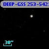 DEEP-GSS 253-5421