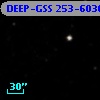 DEEP-GSS 253-6030