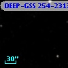 DEEP-GSS 254-2313