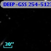 DEEP-GSS 254-5123
