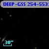 DEEP-GSS 254-5531