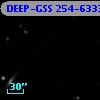 DEEP-GSS 254-6333