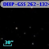 DEEP-GSS 262-1324