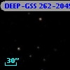 DEEP-GSS 262-2049