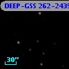 DEEP-GSS 262-2435