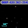 DEEP-GSS 262-2542