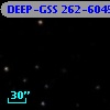 DEEP-GSS 262-6045