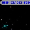DEEP-GSS 262-6050
