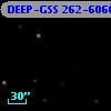 DEEP-GSS 262-6066