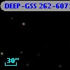 DEEP-GSS 262-6071
