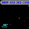 DEEP-GSS 263-2156