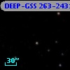 DEEP-GSS 263-2431