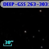 DEEP-GSS 263-3031