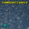 [SMM2007] 60019