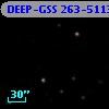 DEEP-GSS 263-5113
