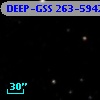 DEEP-GSS 263-5942