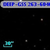 DEEP-GSS 263-6040