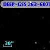 DEEP-GSS 263-6075